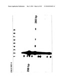 PROSTATE-SPECIFIC MEMBRANE ANTIGEN AND USES THEREOF diagram and image