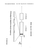 PROSTATE-SPECIFIC MEMBRANE ANTIGEN AND USES THEREOF diagram and image