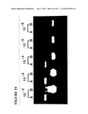 PROSTATE-SPECIFIC MEMBRANE ANTIGEN AND USES THEREOF diagram and image