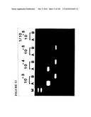 PROSTATE-SPECIFIC MEMBRANE ANTIGEN AND USES THEREOF diagram and image