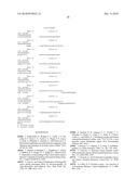 PROSTATE-SPECIFIC MEMBRANE ANTIGEN AND USES THEREOF diagram and image