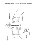 PROSTATE-SPECIFIC MEMBRANE ANTIGEN AND USES THEREOF diagram and image