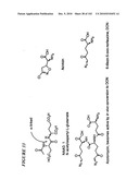 PROSTATE-SPECIFIC MEMBRANE ANTIGEN AND USES THEREOF diagram and image