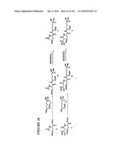 PROSTATE-SPECIFIC MEMBRANE ANTIGEN AND USES THEREOF diagram and image