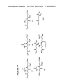 PROSTATE-SPECIFIC MEMBRANE ANTIGEN AND USES THEREOF diagram and image