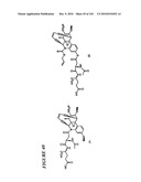 PROSTATE-SPECIFIC MEMBRANE ANTIGEN AND USES THEREOF diagram and image