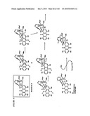 PROSTATE-SPECIFIC MEMBRANE ANTIGEN AND USES THEREOF diagram and image