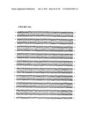 PROSTATE-SPECIFIC MEMBRANE ANTIGEN AND USES THEREOF diagram and image