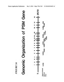 PROSTATE-SPECIFIC MEMBRANE ANTIGEN AND USES THEREOF diagram and image