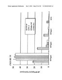 PROSTATE-SPECIFIC MEMBRANE ANTIGEN AND USES THEREOF diagram and image