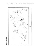 PROSTATE-SPECIFIC MEMBRANE ANTIGEN AND USES THEREOF diagram and image