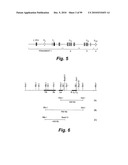 HETEROLOGOUS ANTIBODIES WHICH BIND HUMAN CD4 diagram and image