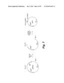 HETEROLOGOUS ANTIBODIES WHICH BIND HUMAN CD4 diagram and image