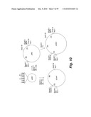 HETEROLOGOUS ANTIBODIES WHICH BIND HUMAN CD4 diagram and image