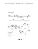 HETEROLOGOUS ANTIBODIES WHICH BIND HUMAN CD4 diagram and image