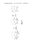 HETEROLOGOUS ANTIBODIES WHICH BIND HUMAN CD4 diagram and image