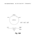 HETEROLOGOUS ANTIBODIES WHICH BIND HUMAN CD4 diagram and image