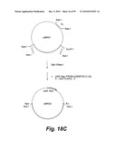 HETEROLOGOUS ANTIBODIES WHICH BIND HUMAN CD4 diagram and image