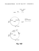 HETEROLOGOUS ANTIBODIES WHICH BIND HUMAN CD4 diagram and image