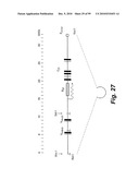 HETEROLOGOUS ANTIBODIES WHICH BIND HUMAN CD4 diagram and image