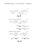 HETEROLOGOUS ANTIBODIES WHICH BIND HUMAN CD4 diagram and image