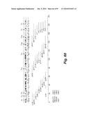 HETEROLOGOUS ANTIBODIES WHICH BIND HUMAN CD4 diagram and image