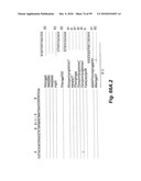 HETEROLOGOUS ANTIBODIES WHICH BIND HUMAN CD4 diagram and image