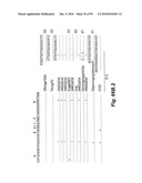 HETEROLOGOUS ANTIBODIES WHICH BIND HUMAN CD4 diagram and image