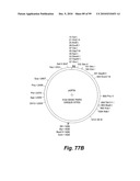 HETEROLOGOUS ANTIBODIES WHICH BIND HUMAN CD4 diagram and image