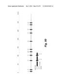 HETEROLOGOUS ANTIBODIES WHICH BIND HUMAN CD4 diagram and image