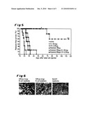 COMBINATION OF AN ANTI-EDB FIBRONECTIN ANTIBODY-IL-2 FUSION PROTEIN, AND A MOLECULE BINDING TO B CELLS, B CELL PROGENITORS AND /OR THEIR CANCEROUS COUNTERPART diagram and image