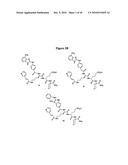 Heterocyclic Ligands for Integrin Imaging and Therapy diagram and image