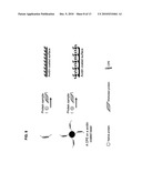 BINDING OF PATHOLOGICAL FORMS OF PROTEINS USING CONJUGATED POLYELECTROLYTES diagram and image