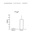 Method of inducing differentiation of bone marrow stromal cells to neural cells or skeletal muscle cells by introduction of notch gene diagram and image