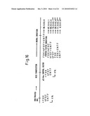 Method of inducing differentiation of bone marrow stromal cells to neural cells or skeletal muscle cells by introduction of notch gene diagram and image