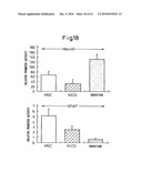 Method of inducing differentiation of bone marrow stromal cells to neural cells or skeletal muscle cells by introduction of notch gene diagram and image