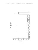 Method of inducing differentiation of bone marrow stromal cells to neural cells or skeletal muscle cells by introduction of notch gene diagram and image