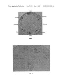 Compositions Suitable for Treatment of Spinal Disease, Disorder or Condition diagram and image