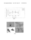 Compositions Suitable for Treatment of Spinal Disease, Disorder or Condition diagram and image