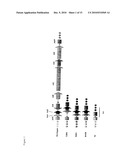 Genes of an Otitis Media Isolate of Nontypeable Haemophilus Influenzae diagram and image
