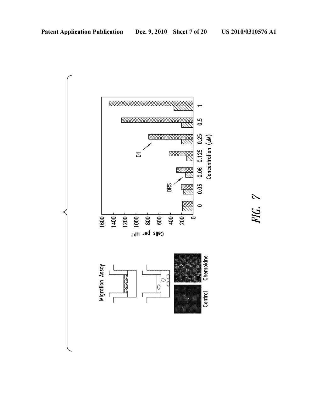 COMPOSITIONS AND METHODS COMPRISING ASPARTYL-tRNA SYNTHETASES HAVING NON-CANONICAL BIOLOGICAL ACTIVITIES - diagram, schematic, and image 08