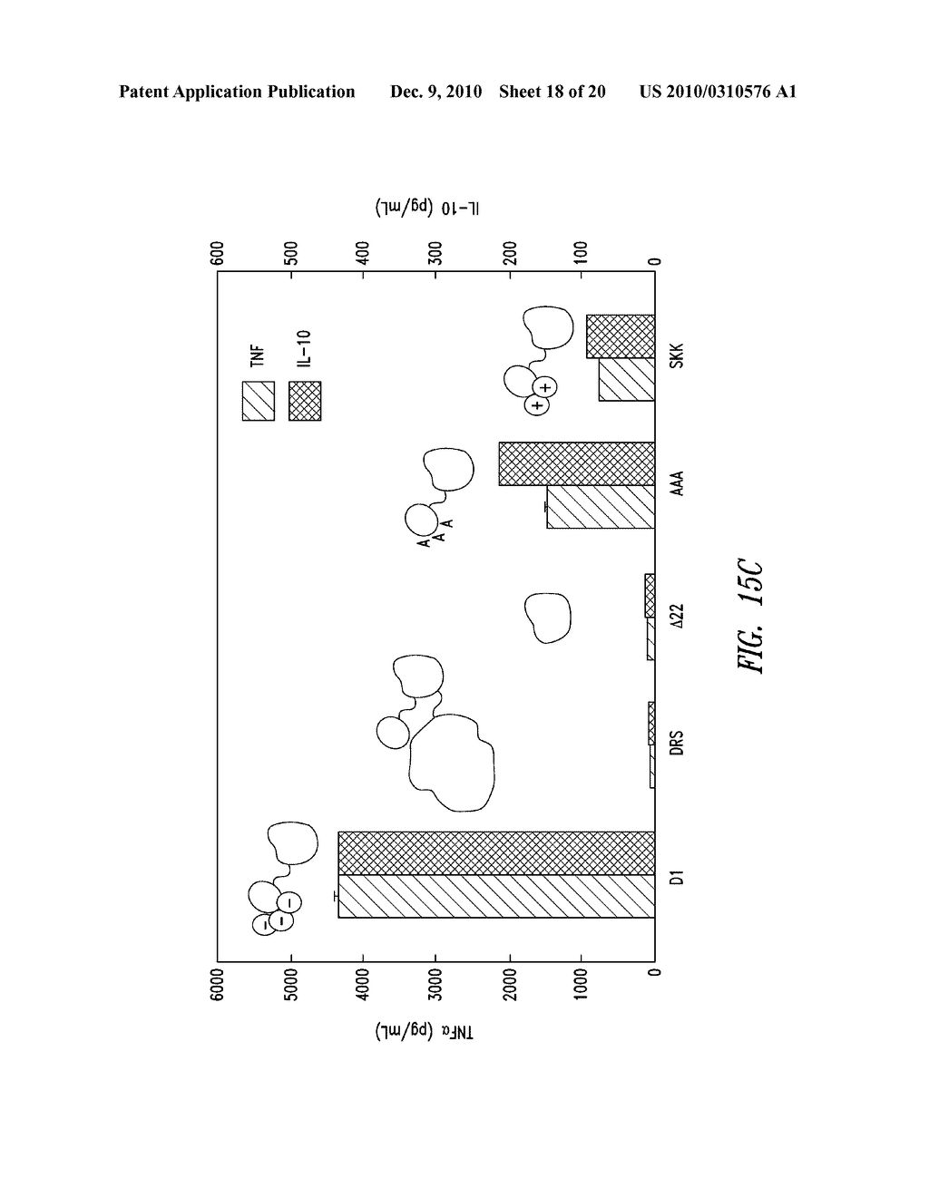 COMPOSITIONS AND METHODS COMPRISING ASPARTYL-tRNA SYNTHETASES HAVING NON-CANONICAL BIOLOGICAL ACTIVITIES - diagram, schematic, and image 19