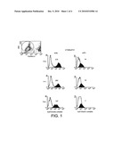 Antigen diagram and image