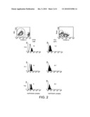 Antigen diagram and image