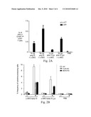 SELECTIVE AGONIST OF TOLL-LIKE RECEPTOR 3 diagram and image