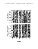 VACCINATION WITH KILLED BUT METABOLICALLY ACTIVE (KBMA) PROTOZOANS WITH TOLL-LIKE RECEPTOR AGONISTS diagram and image