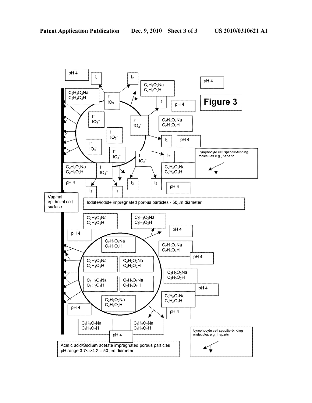 Controlled Iodine Release Particle Micro-Biocide - diagram, schematic, and image 04