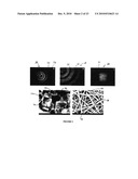 Synergetic functionalized spiral-in-tubular bone scaffolds diagram and image