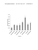 Synergetic functionalized spiral-in-tubular bone scaffolds diagram and image