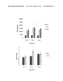 Synergetic functionalized spiral-in-tubular bone scaffolds diagram and image